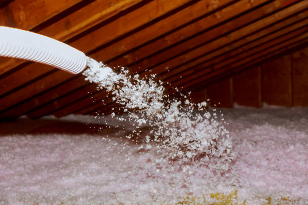Best Insulation for New Construction  in Darien, WI